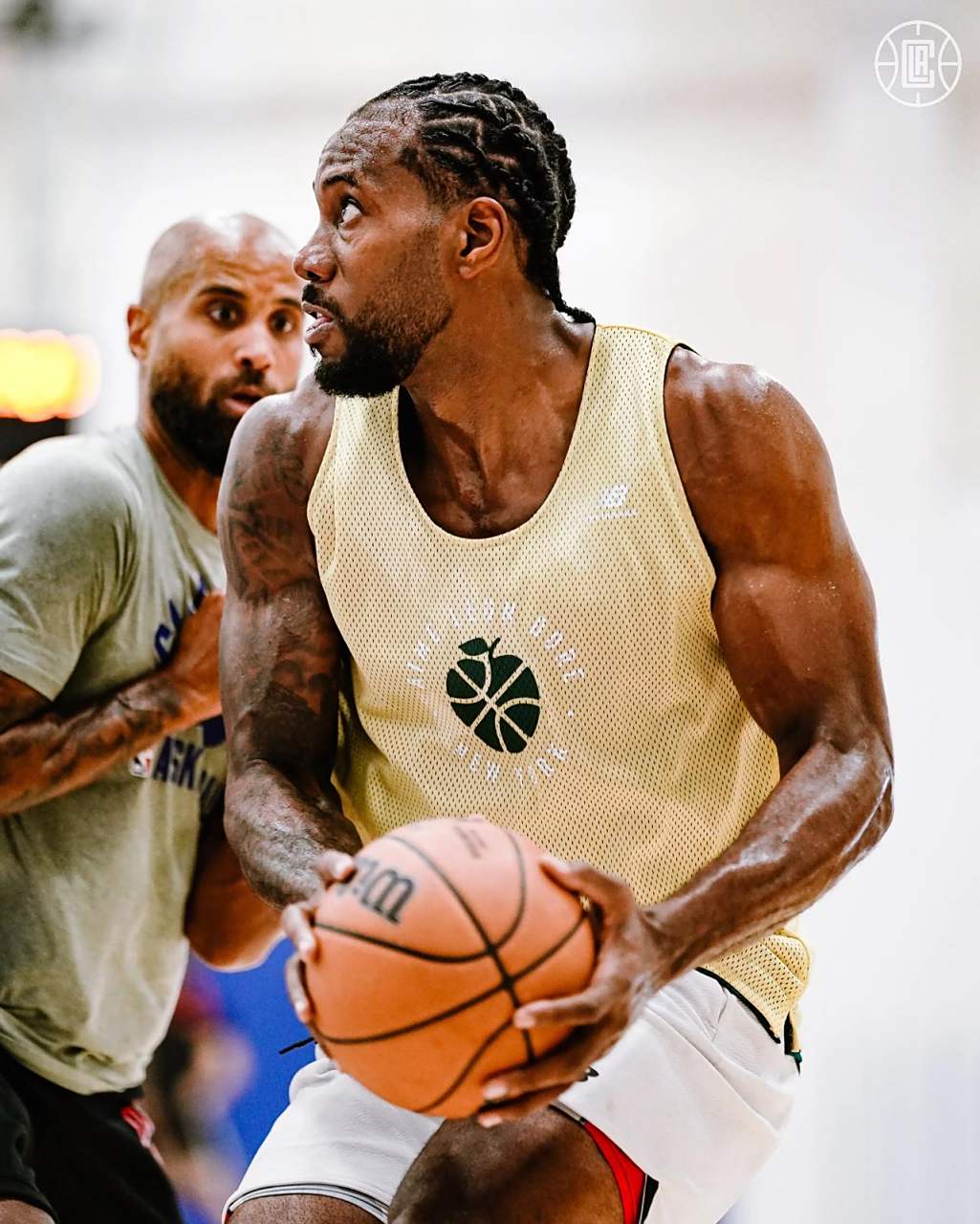 海牛虽然憾 海牛虽然憾