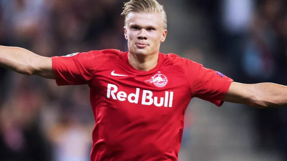 布恩迪亚从 布恩迪亚从